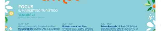 Il toolkit di Umberto Curti